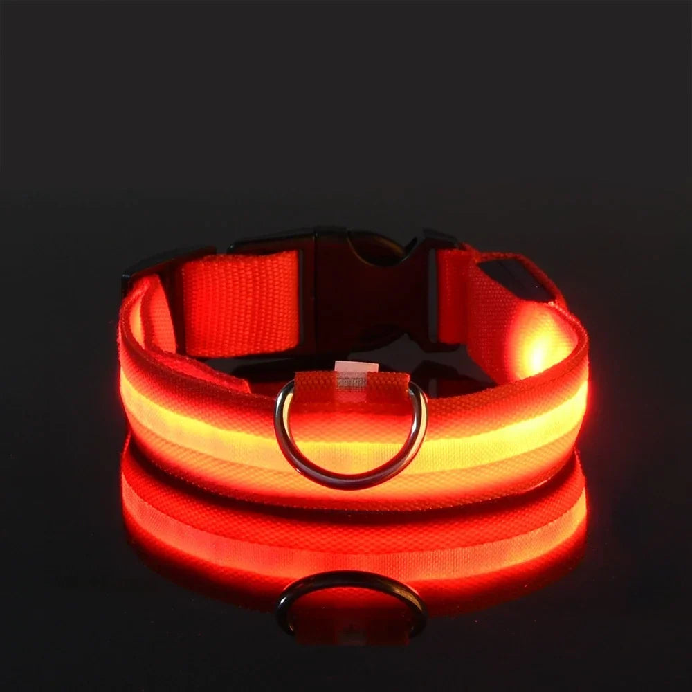 NightPaw™ LED Hundehalsband – Wiederaufladbares Leuchthalsband für Hunde