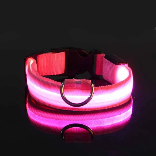 NightPaw™ Collier de Chien LED – Collier Lumineux Rechargeable pour Chiens