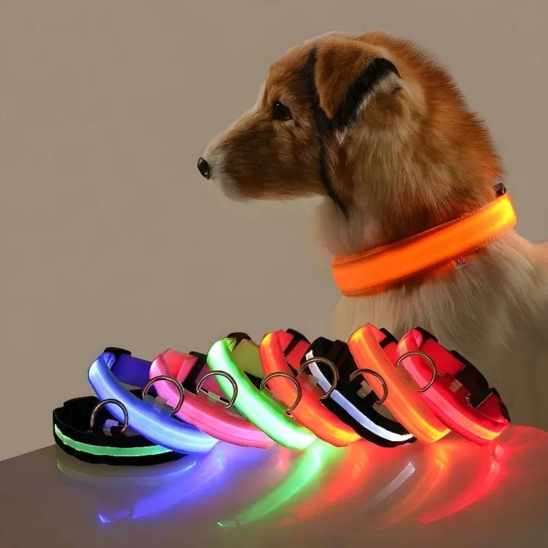 NightPaw™ LED Hundehalsband – Wiederaufladbares Leuchthalsband für Hunde