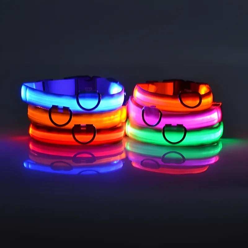 NightPaw™ LED Hundehalsband – Wiederaufladbares Leuchthalsband für Hunde