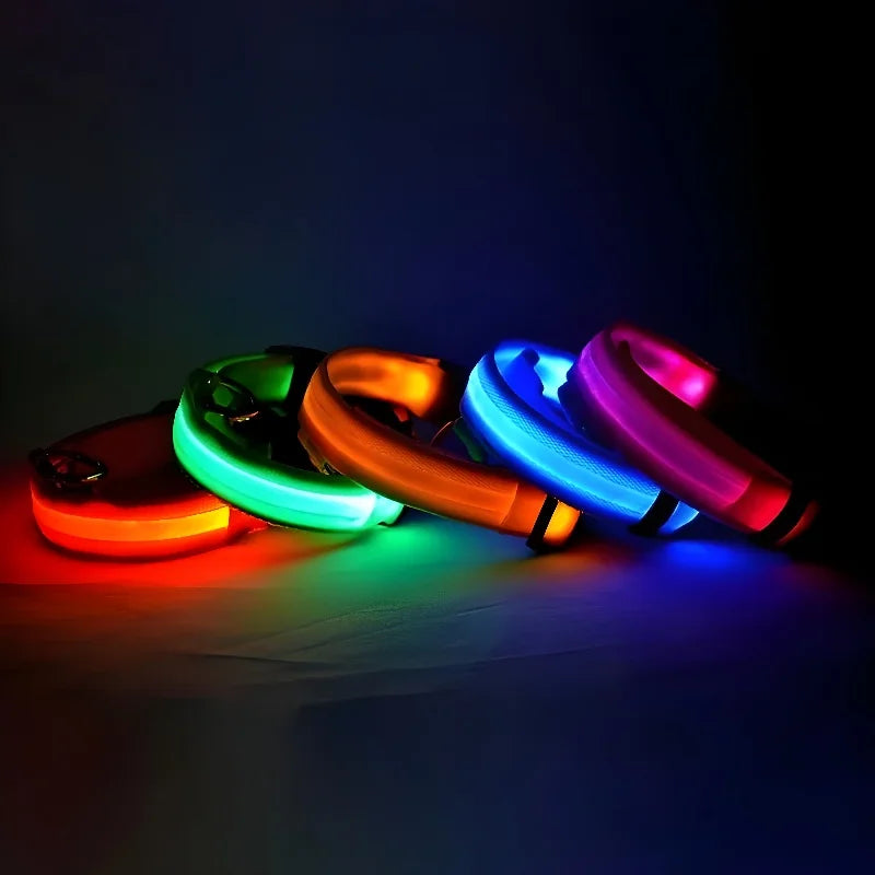 NightPaw™ LED Hundehalsband – Wiederaufladbares Leuchthalsband für Hunde