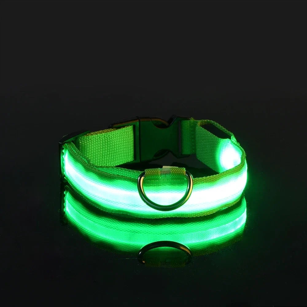 NightPaw™ LED Hundehalsband – Wiederaufladbares Leuchthalsband für Hunde