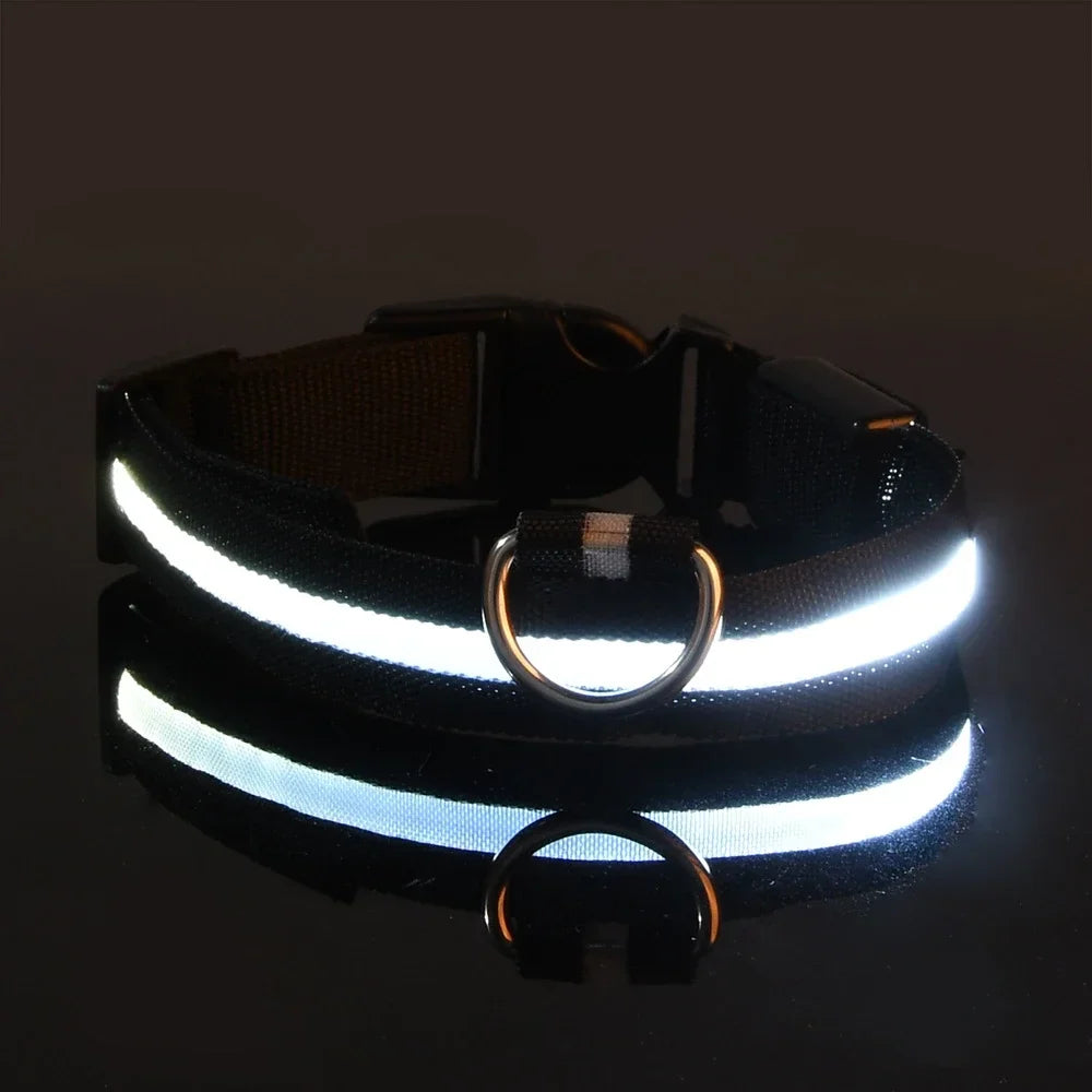 NightPaw™ LED Hundehalsband – Wiederaufladbares Leuchthalsband für Hunde