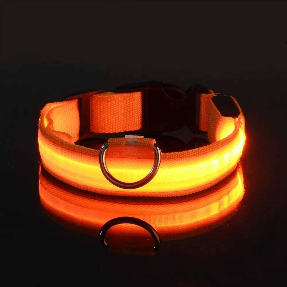 NightPaw™ LED Hundehalsband – Wiederaufladbares Leuchthalsband für Hunde