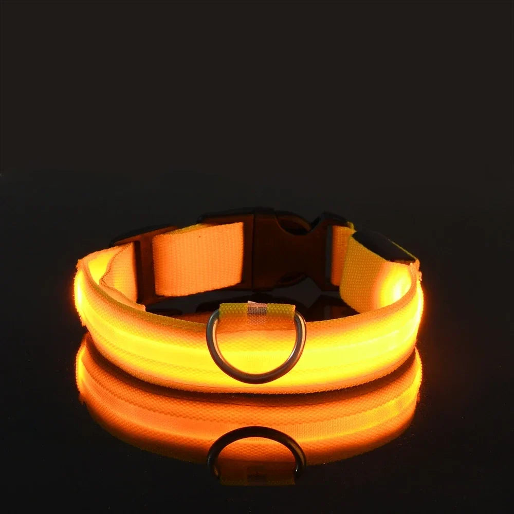 NightPaw™ LED Hundehalsband – Wiederaufladbares Leuchthalsband für Hunde