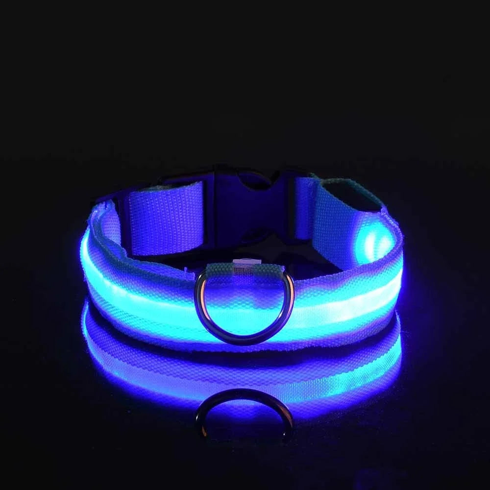 NightPaw™ LED Hundehalsband – Wiederaufladbares Leuchthalsband für Hunde